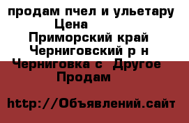 продам пчел и ульетару › Цена ­ 3 000 - Приморский край, Черниговский р-н, Черниговка с. Другое » Продам   